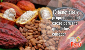 gastronomía de la selva peruana