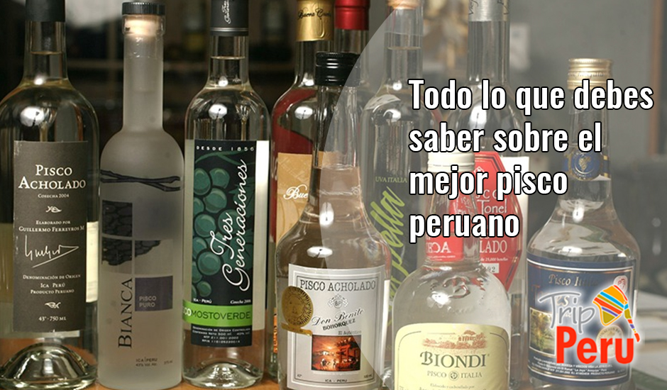 pisco peruano