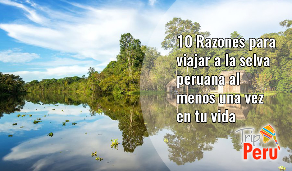 viajar a la selva peruana